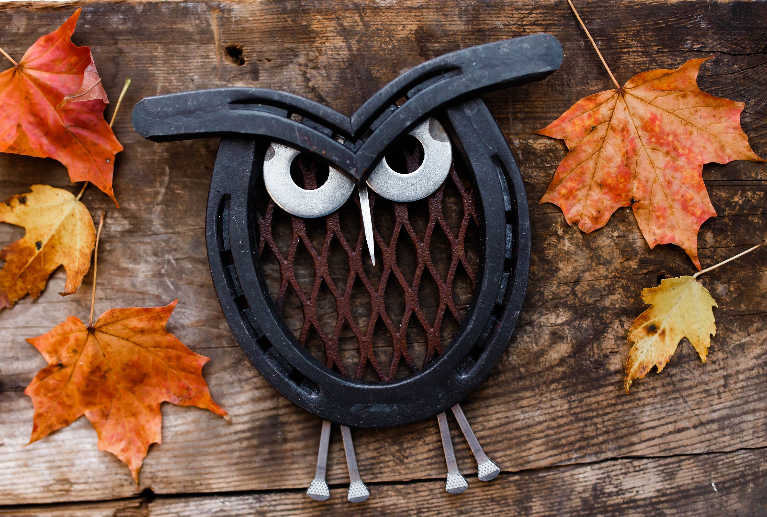 Horseshoe Owl Metal Owl Wall Decor Owl Decor Owl Gift Fall Etsy