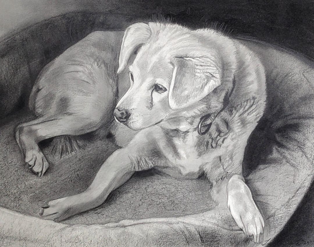Custom Hand Drawn Pet Portrait - Graphite Drawing From Photo - Etsy