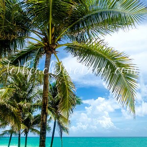 Get Playa tematica decoracion For Android Free