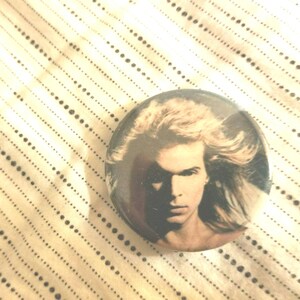Vintage David Lee Roth Pinback Button