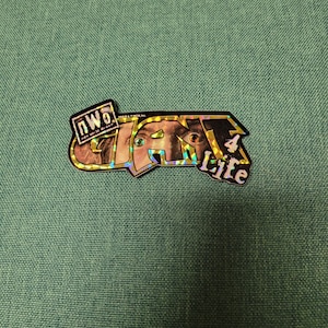 Vintage 1990s WCW NWO Thunder Sticker