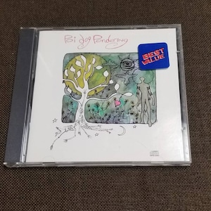 Poi Dog Pondering CD