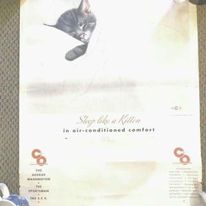 Anuncio colgante vintage &quot;Duerme como un gatito en la comodidad del aire acondicionado&quot;