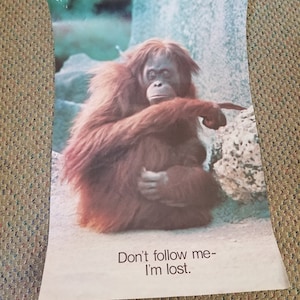 Vintage Don&#39;t Follow Me I&#39;m Lost Orangutan Classroom Poster