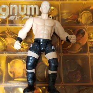 WWE 1996 Hardcore Bob Holly Jakks WWF Job Squad Wrestling Action Figure Toy