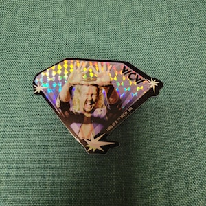 Vintage 1990s WCW NWO Diamond Dallas Page Vending Machine Sticker