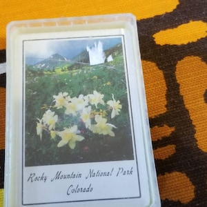 Rocky Mountain National Park Colorado Playing Cards