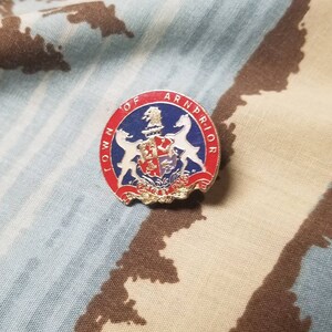 Vintage Town of Arnprior Pinback Button