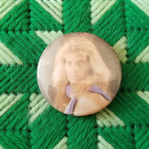 Vintage David Lee Roth Pinback Button