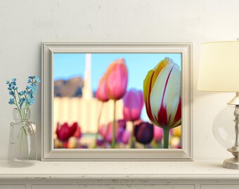 De Provo Utah LDS tempel / / lente tulpen / / krijg je 5 maten / / Instant Digitale Download