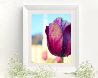 Paarse tulp bij de tempel van de LDS Provo / / krijg je 5 maten / / Instant Digitale Download