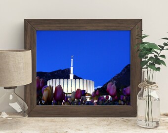 Tempel van de Provo's nachts / / LDS tempels / / krijg je 5 maten / / Instant Digitale Download