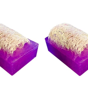 May include: Two purple soap bars with a natural loofah on top. The soap bars are rectangular and have a translucent purple color.
