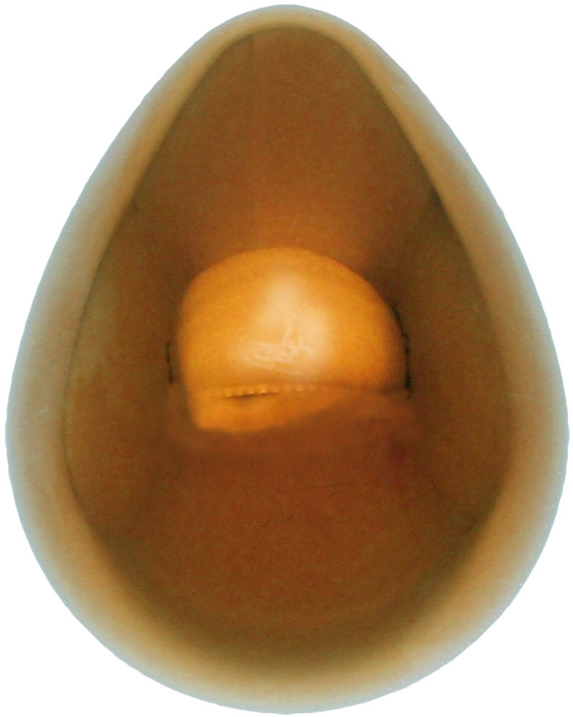 Premium Large Titanium Kegel Egg by Crowned Jewels Body Safe Etsy