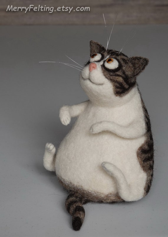 grey and white fat cat