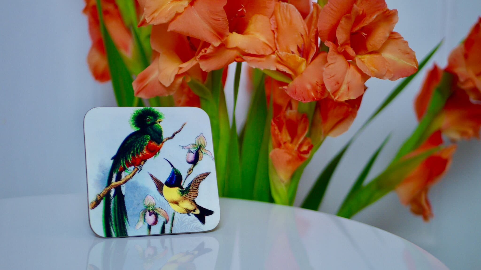Bird Coasters Retro Vintage Hummingbird Kitsch Etsy España