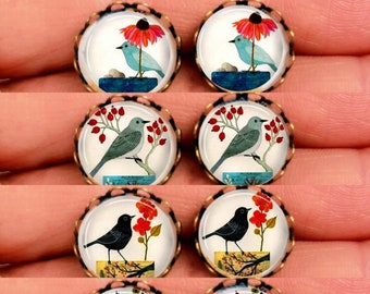 Puces cabochons oiseaux