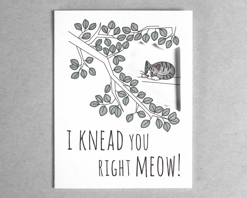 cat card love card gray tabby cat Love you card