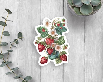 Strawberries Vinyl Sticker