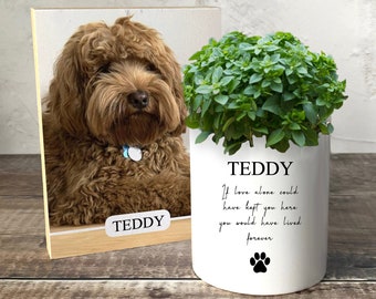 Dog Memorial Gift Set, Dog Memorial Plant Pot, Pet Memorial Photo, Pet Photo, Dog Memorial Photo Frame, Dog Memorial Picture Frame, Cat Pot