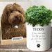 see more listings in the Pet Gifts & Pet Memorial section