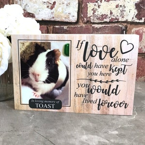 Guinea Pig Memorial Gift,Pet Memorial, Memorial Gift, Guinea Pig Memorial Frame, Guinea Pig Plaque, Guinea Pig Photo Frame, Remembrance