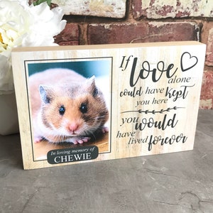 Hamster Memorial Gift, Gerbil Memorial, Mouse Memorial, Pet Memorial Frame, Pet Plaque, Pet Memorial Photo Frame, Dog Memorial Picture Frame