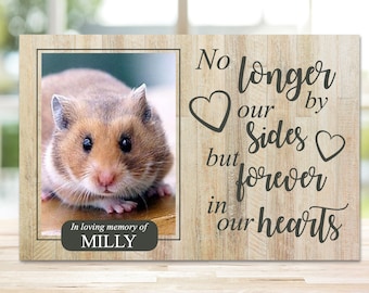 Hamster Memorial Gift, Gerbil Memorial, Mouse Memorial, Pet Memorial Frame, Pet Plaque, Pet Memorial Photo Frame, Dog Memorial Picture Frame