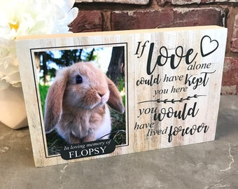 Rabbit Memorial Gift,Pet Memorial Frame, Memorial Gift, Rabbit Memorial Frame, Rabbit Plaque, Rabbit Photo Frame, Remembrance Gift, Keepsake