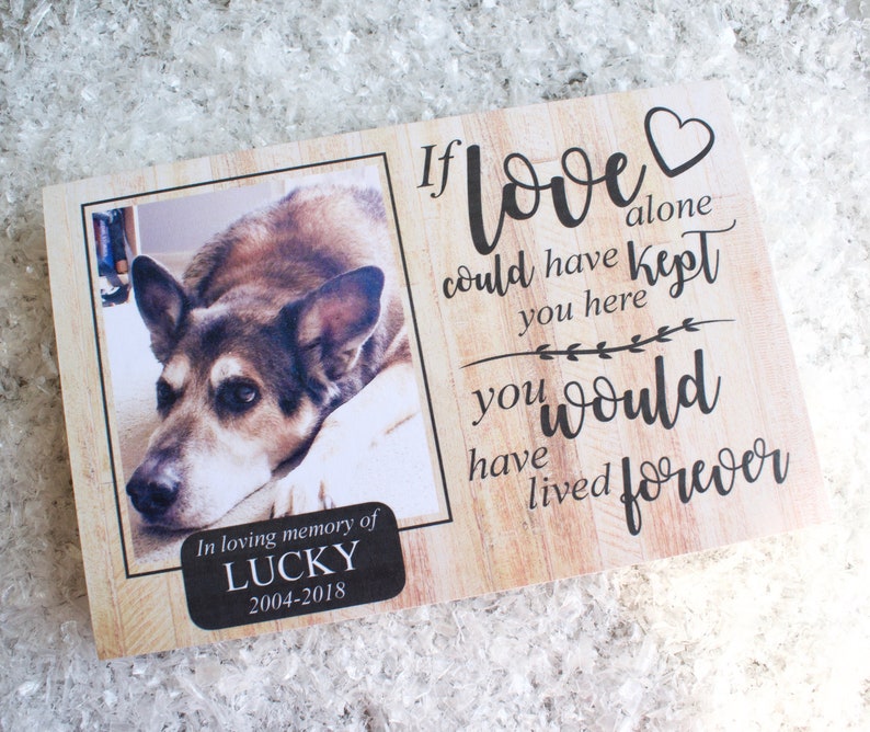 Rabbit Memorial GiftPet Memorial Frame Memorial Gift Rabbit Etsy