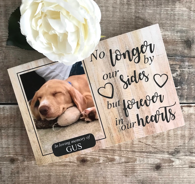 Dog Memorial Gift Pet Memorial Frame Pet Memorial Dog Etsy UK