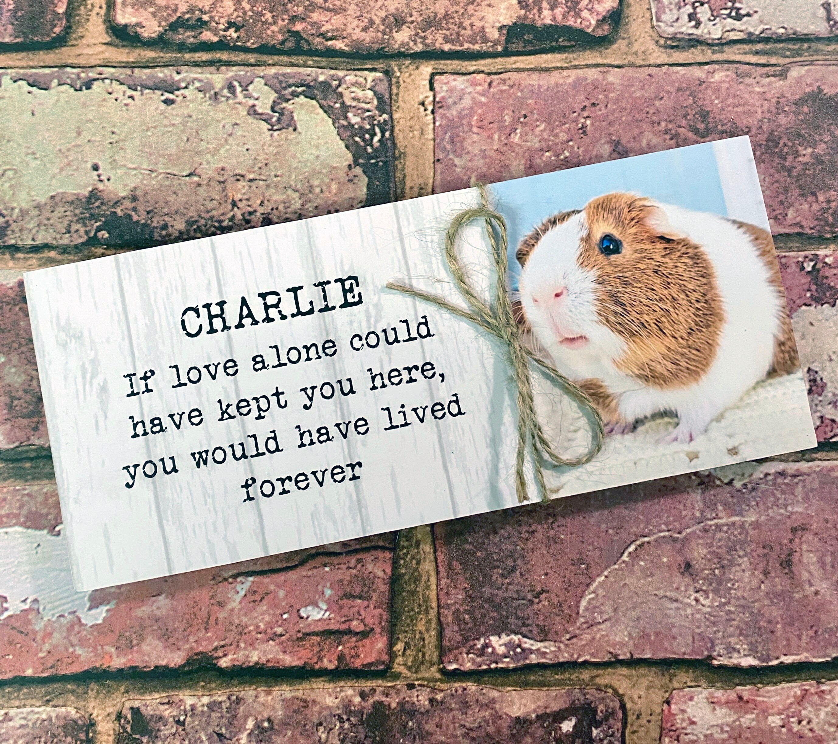 Guinea Pig Memorial GiftPet Memorial Memorial Gift Guinea Etsy