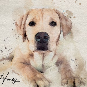 May include: Watercolor painting of a light brown dog with the name "Honey" written in cursive below the dog.