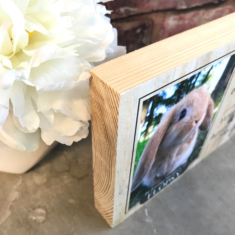 Rabbit Memorial Giftpet Memorial Frame Memorial Gift Rabbit Etsy UK