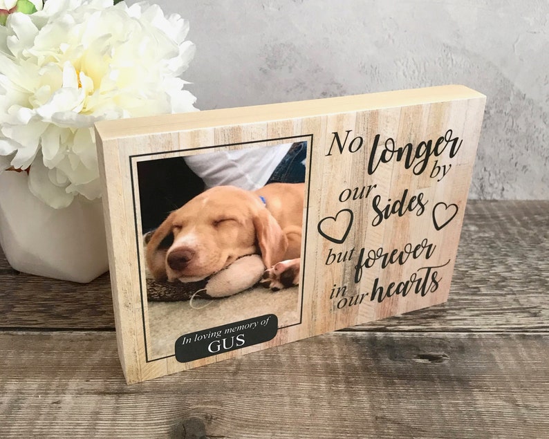 Dog Memorial Pet Memorial Frame Pet Memorial Gift Dog Etsy
