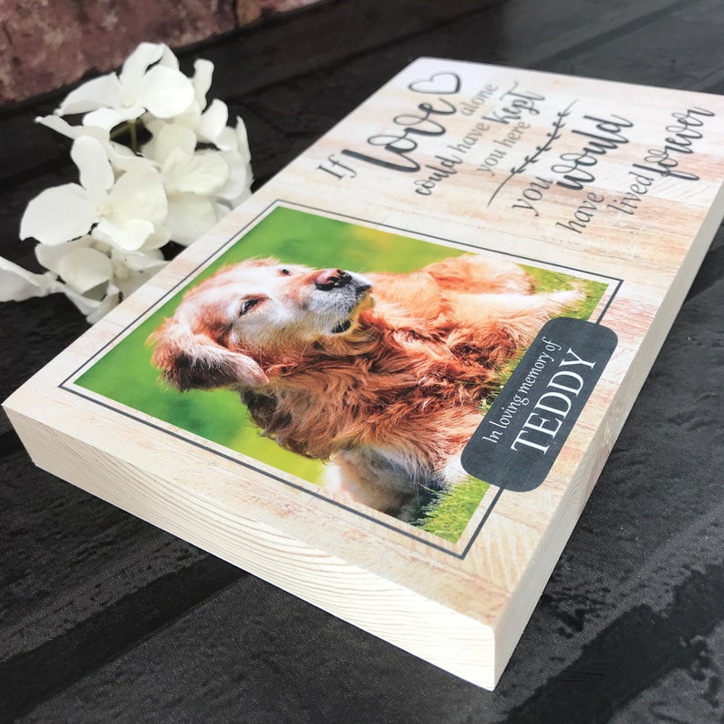 Dog Memorial Gift Dog Memorial Pet Memorial Frame Pet Etsy UK