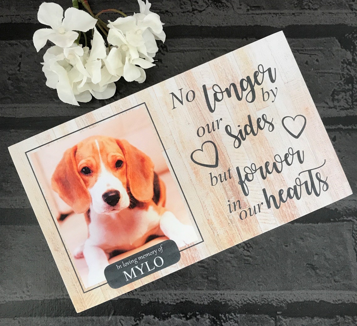 Cat Memorial Gift Cat Memorial Frame Cat Memorial Cat Etsy UK