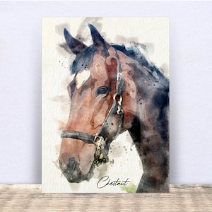 May include: Watercolour painting of a brown horse's head with a black halter. The horse has a white star on its forehead. The painting is signed "Chestnut" in the bottom right corner.