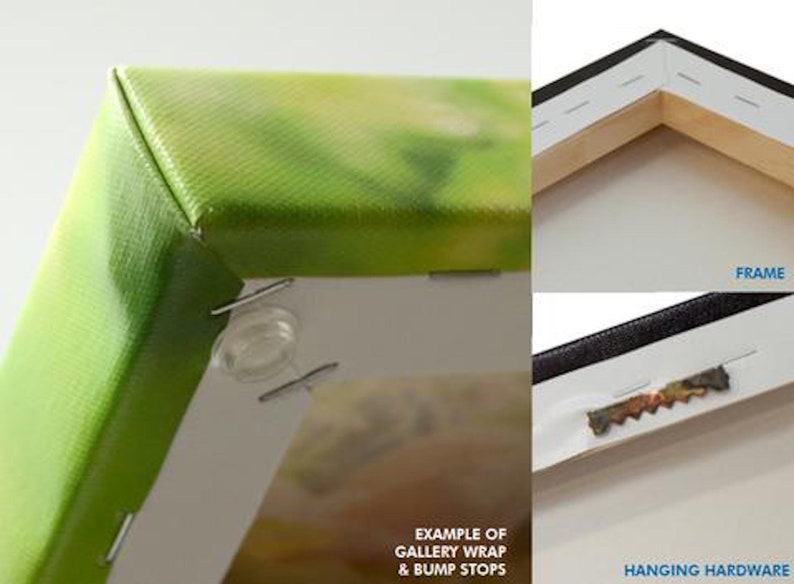 May include: Close-up of a canvas print with a green and yellow abstract design. The canvas is wrapped around the edges of the frame and secured with bump stops. The back of the frame has hanging hardware.