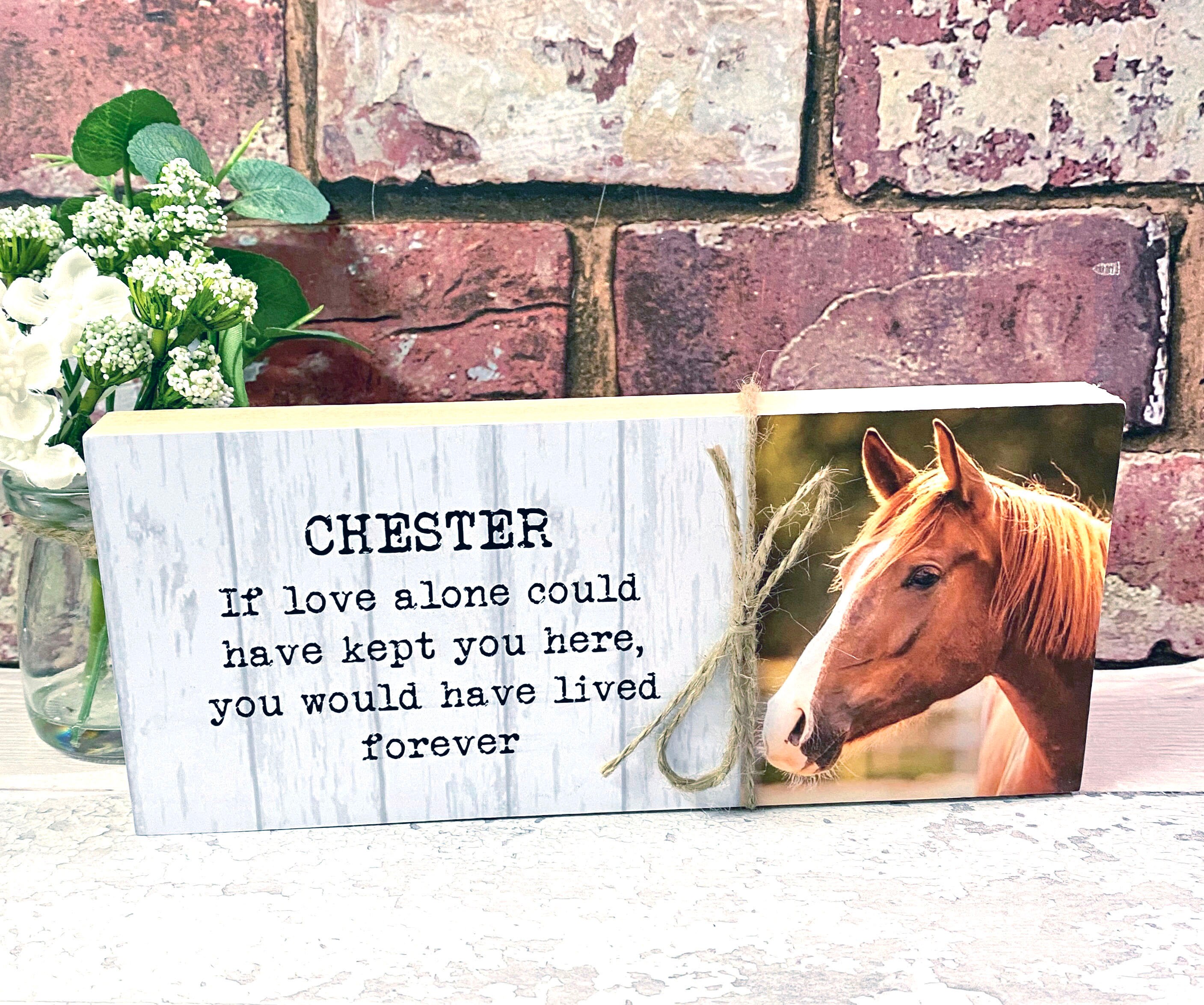Horse Memorial Memorial Gift Horse Remembrance Horses Gift Etsy