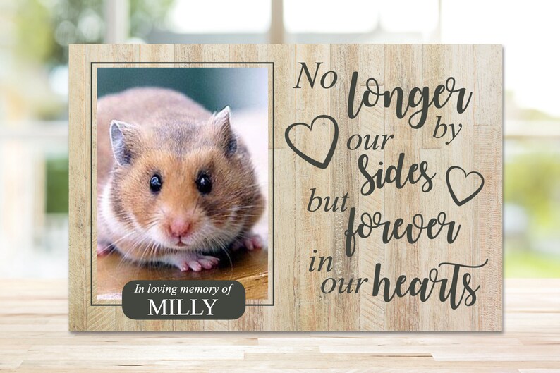 Rabbit Memorial Pet Memorial Frame Memorial Gift Rabbit Etsy UK