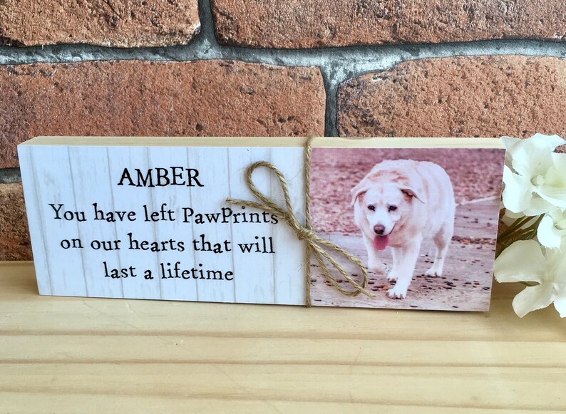 May include: A wooden memorial plaque with a white background and black text that reads "AMBER You have left PawPrints on our hearts that will last a lifetime". A photo of a white dog is on the right side of the plaque.