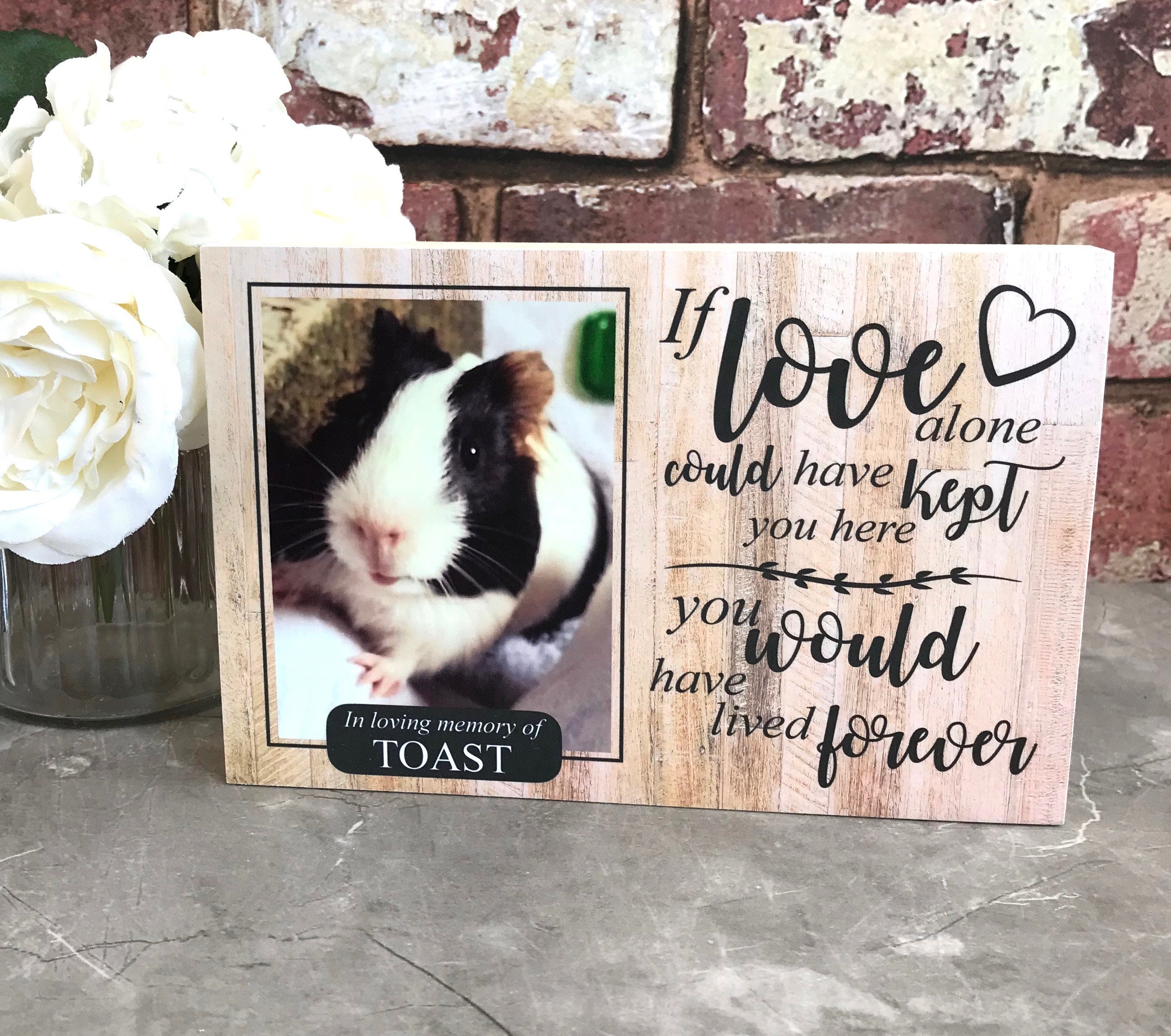 Guinea Pig Memorial GiftPet Memorial Memorial Gift Guinea Etsy