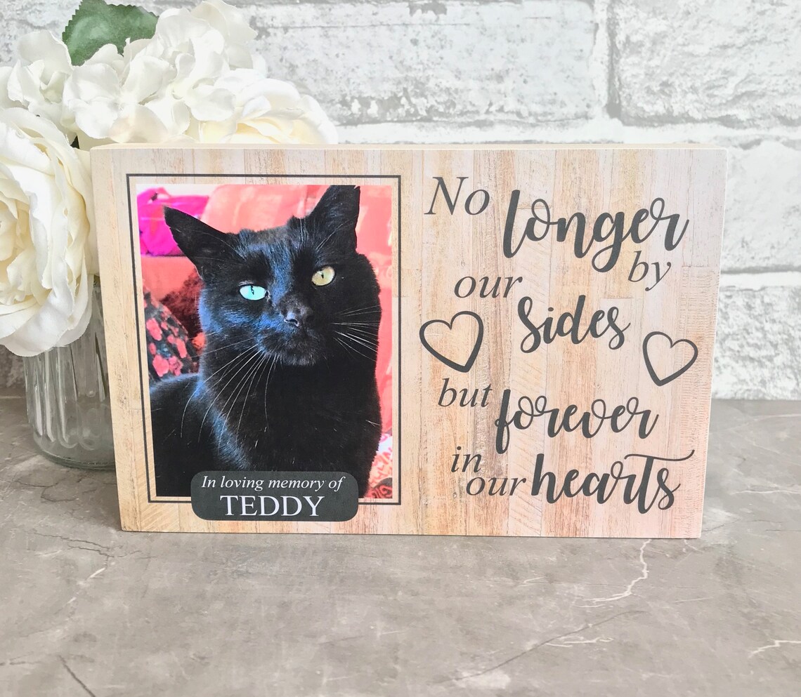 Cat Memorial Gift Cat Memorial Frame Cat Memorial Cat Etsy UK