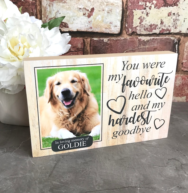 Puede incluir: Un marco de fotos de madera con una foto de un perro golden retriever. El marco tiene el texto "You were my favourite hello &hearts; and my hardest goodbye &hearts;" y "In loving memory of GOLDIE".