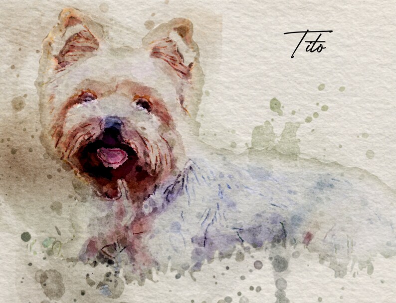 May include: A watercolor painting of a Yorkshire Terrier dog with brown and white fur. The dog is looking at the viewer with its tongue sticking out. The painting has a light brown background with splashes of green and blue paint.