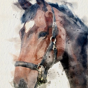 May include: A watercolour painting of a brown horse's head with a black halter. The horse has a white star on its forehead and a dark brown eye. The background is a light blue watercolour wash.