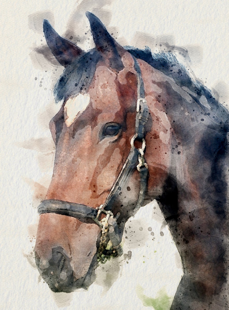May include: A watercolour painting of a brown horse's head with a black halter. The horse has a white star on its forehead and a dark brown eye. The background is a light blue watercolour wash.