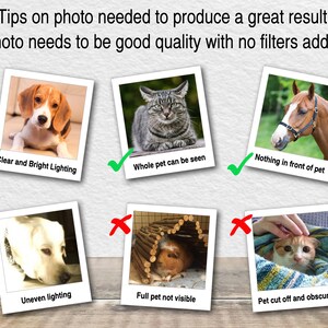 May include: A guide on how to take good photos of pets for digital art. The guide shows examples of good and bad photos. The good photos show a dog, a cat, and a horse with clear lighting, the whole pet in the frame, and nothing in front of the pet. The bad photos show a dog with uneven lighting, a guinea pig with only part of the pet visible, and a cat with the pet cut off and obscured.