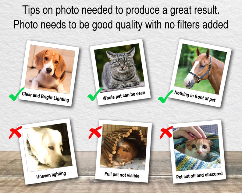 May include: A guide on how to take good photos of pets for digital art. The guide shows examples of good and bad photos. The good photos show a dog, a cat, and a horse with clear lighting, the whole pet in the frame, and nothing in front of the pet. The bad photos show a dog with uneven lighting, a guinea pig with only part of the pet visible, and a cat with the pet cut off and obscured.